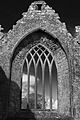 Digital Eye-2014-Askeaton Franciscan Friary-3