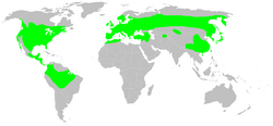 Distribution.caudata.1.png