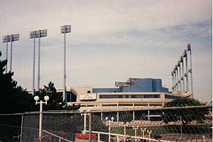 Exhibition stadium