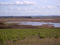 InnerMarshFarm