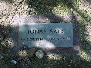 JonasSalkgrave