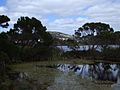 Lake Seppings Overflow Pond