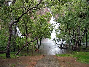 Litchfield National Park-31