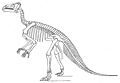 Marsh Iguanodon