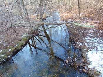 Merrick Brook.jpg