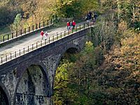 Monsal Dale - geograph.org.uk - 1589877