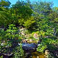 Morikami Museum View of Grounds (Waterfall)