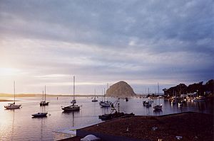 Morro Bay Docks