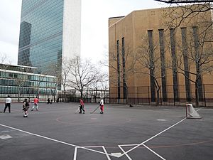 Moses Playground roller hockey jeh