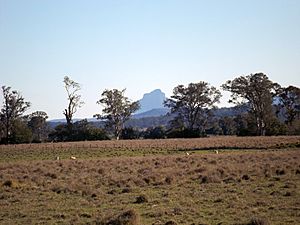 Mount Lindesay from Laravale