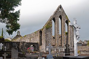 Nenagh Friary SE 2010 09 08