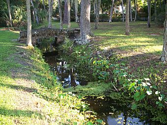 New Smyrna Turnbull canal01.jpg