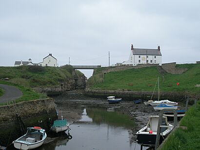 Seaton Sluice Harbour2