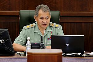 Shoigu's meeting (2013-07-04)