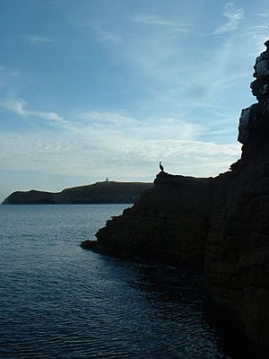 St Tudwal's Island East - geograph.org.uk - 27132