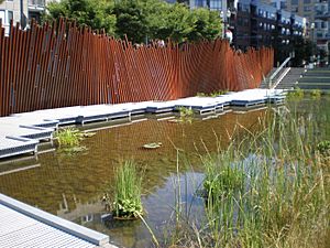 Tanner Springs Park.JPG