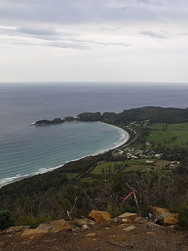 Tassie Trip Day 05 033.jpg