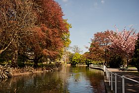 UK London - River Wandle, Carshalton