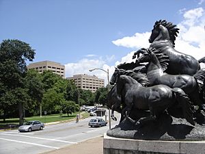 UT Austin Mustangs campus