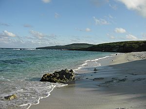 Unai Dankulo, Tinian, -2 Jan. 2011 a