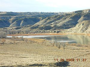 Upper end of Cow Island, in the Missouri, below the mouth of Cow Creek, Missouri Breaks, Motnana