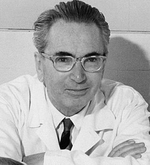 Viktor Frankl2.jpg