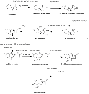 Vomitoxin