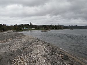 Waioratene stream entrance (1)