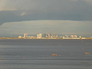 Yolo bypass072006