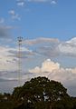 Zilker Park Moon Tower (80996503)