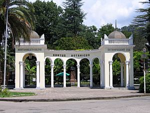 Botanical garden.Sukhum