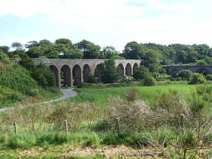 Bridges over the North Esk near Kinnaber - geograph.org.uk - 512146