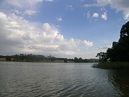 DFRLake Ginninderra.jpg