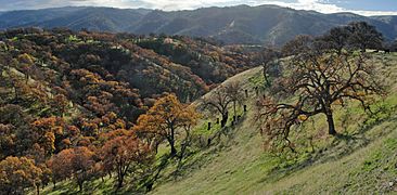 Del Valle Regional Park Eagle Crest Trail