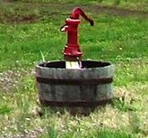 Donoho-mineral-well-pump-tn1