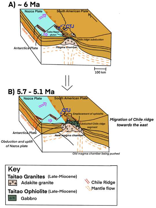 Evolutionarydiagramofchileridge (1)