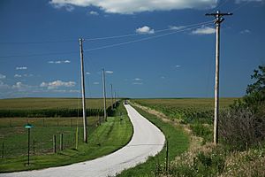 Farm road, Champaign County