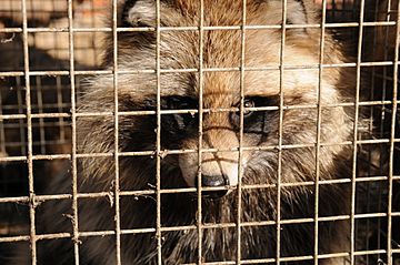 Fur Farming (2008)