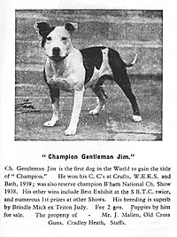 Gentleman Jim sbt