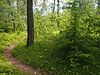 Gull Lake Mounds Site