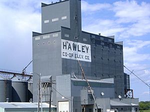 Hawley's former grain elevator (burned down)