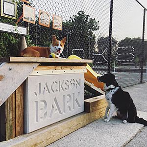 JacksonBarkSign