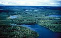 Kenai Refuge Lowland Lakes