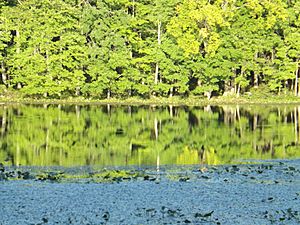 Lake Towhee reflection.jpg