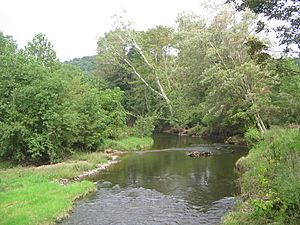 Little Muncy Creek