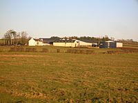 Lochside Farm, Buiston Loch