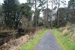 Lough Rynn Boathouse2