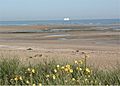 Low tide at Merville-Franceville-Plage