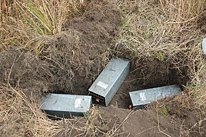 Mazama Pocket Gopher trapping array