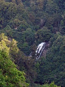 Mokau Falls